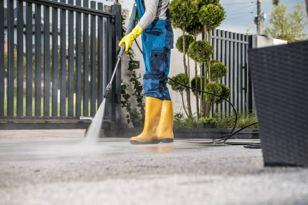 Best Gutter Cleaning  in Clksville, AR